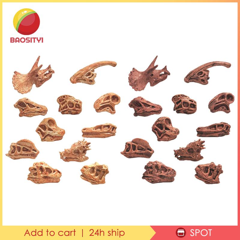 [Baosity1] Mô Hình Đầu Lâu Khủng Long Hóa Thạch Trang Trí Nội Thất Giảng Dạy