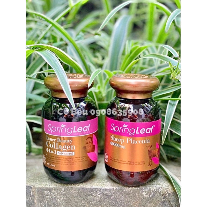 Viên uống collagen 6 IN 1 và nhau thai cừu Sheep Placenta SPRING LEAF Úc