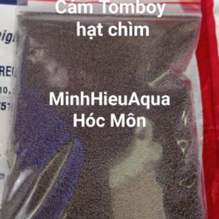 Cám Tomboy hạt chìm