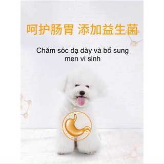 Hạt Jialun cho poodle