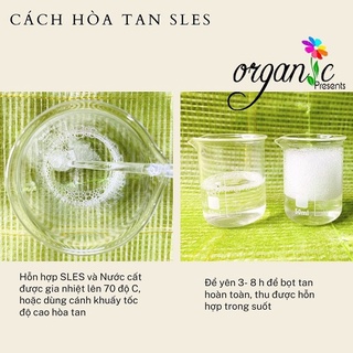 CHẤT HOẠT ĐỘNG BỀ MẶT SLES