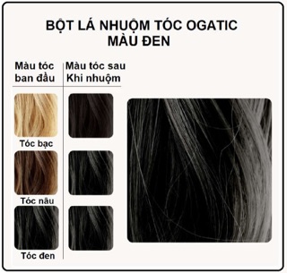 Bột lá nhuộm tóc OGATIC – Màu Đen