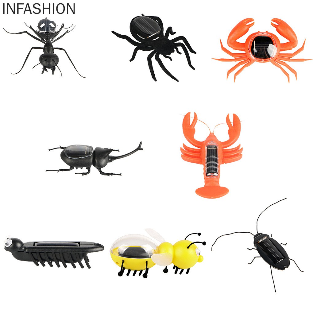 Con Gián Đồ Chơi Sử Dụng Năng Lượng Mặt Trời Cho Bé