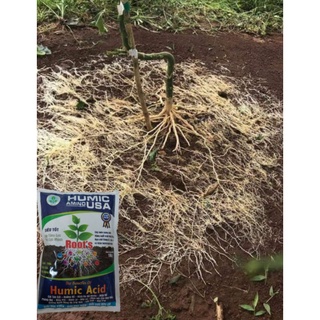 phân bón humic usa