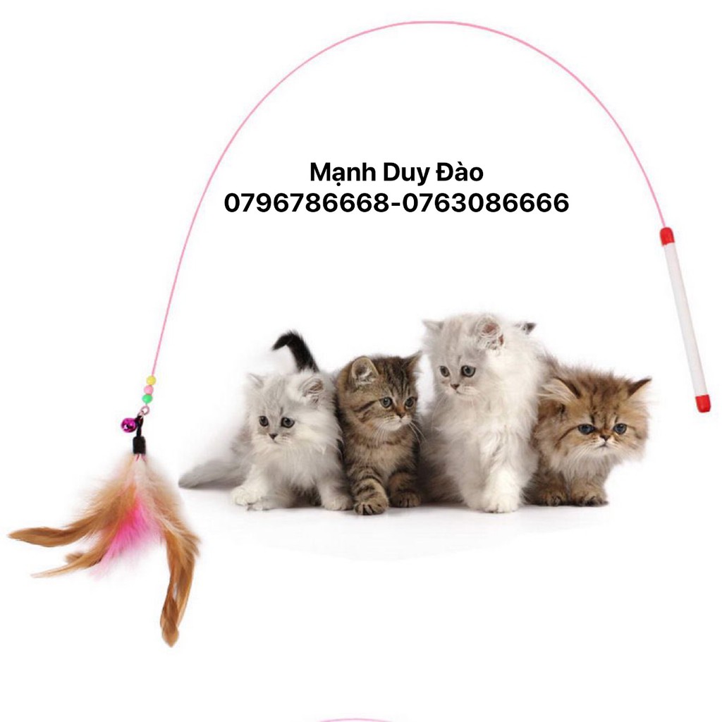 XẢ HÀNG SỐC - CẦN CÂU MÈO LOẠI ĐẸP - ĐỒ CHƠI CHO MÈO