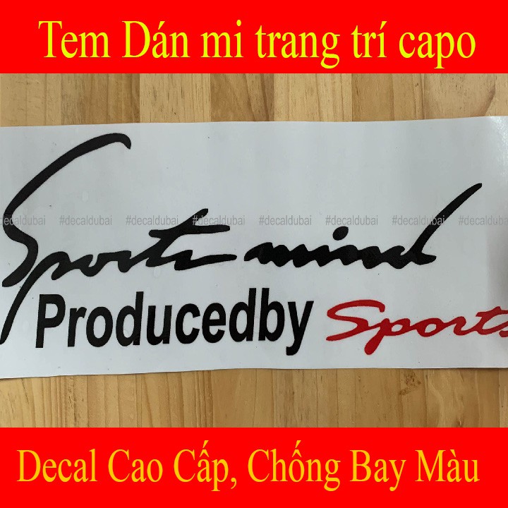 ẢNH THẬT Tem Dán Mi Chữ Kí Sport Mind