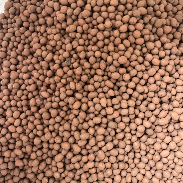 HẠT ĐẤT NUNG-POPPER 25k/400g