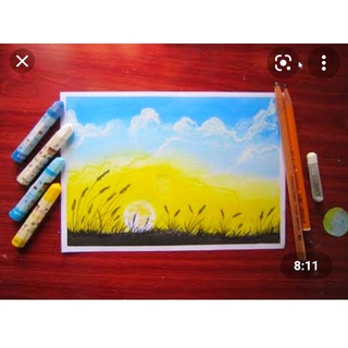 sáp dầu hiệu con gấu ( 24 màu)
