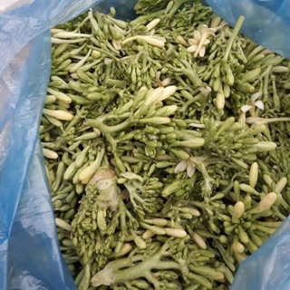 Hoa đu đủ khô 500g