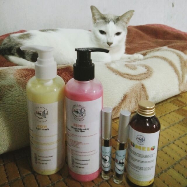 FULL SET NHỎ