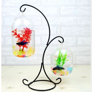Bể cá mini treo tên giá chữ X 08 ( Tặng kèm combo phụ kiện trang trí )