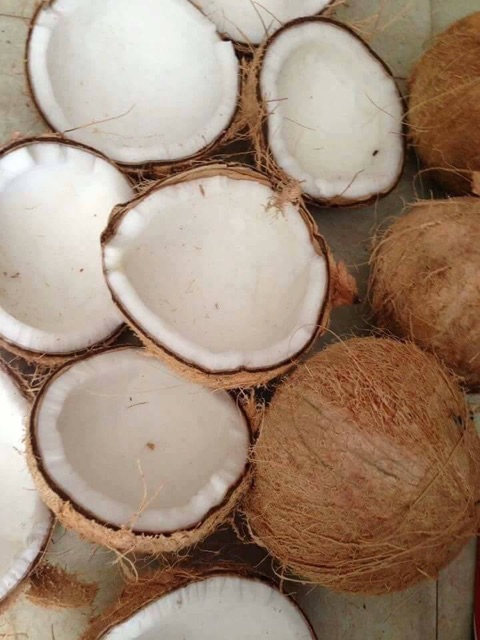 Dầu dừa handmade nhà làm 1 lọ 100ml thơm sánh dùng tốt cho trẻ sơ sinh