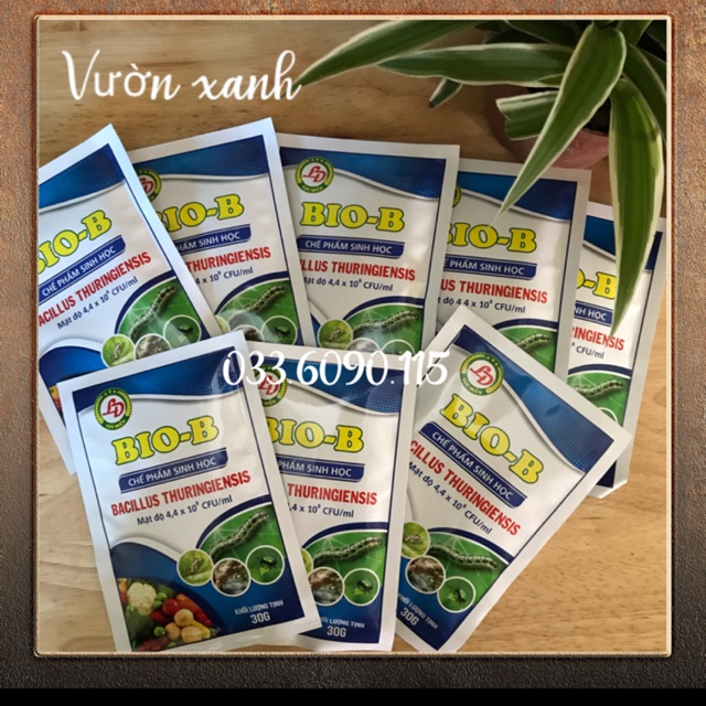 Combo 10 gói chế phẩm sinh học Bio-B 30g