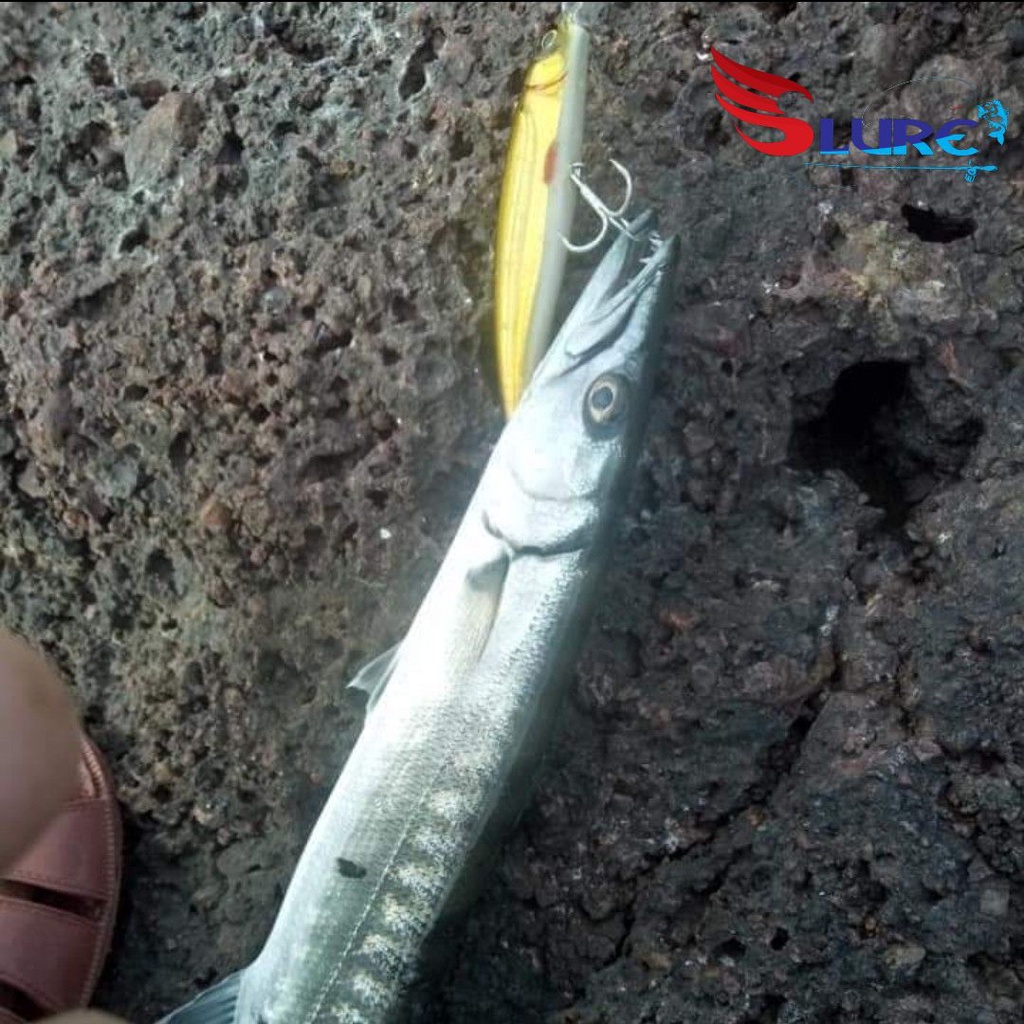Mồi giả, mồi lure ghềnh, Samurai 26g chính hãng, Slure, câu cá Hồng, cá Nhồng, cá Bè , cá mú...