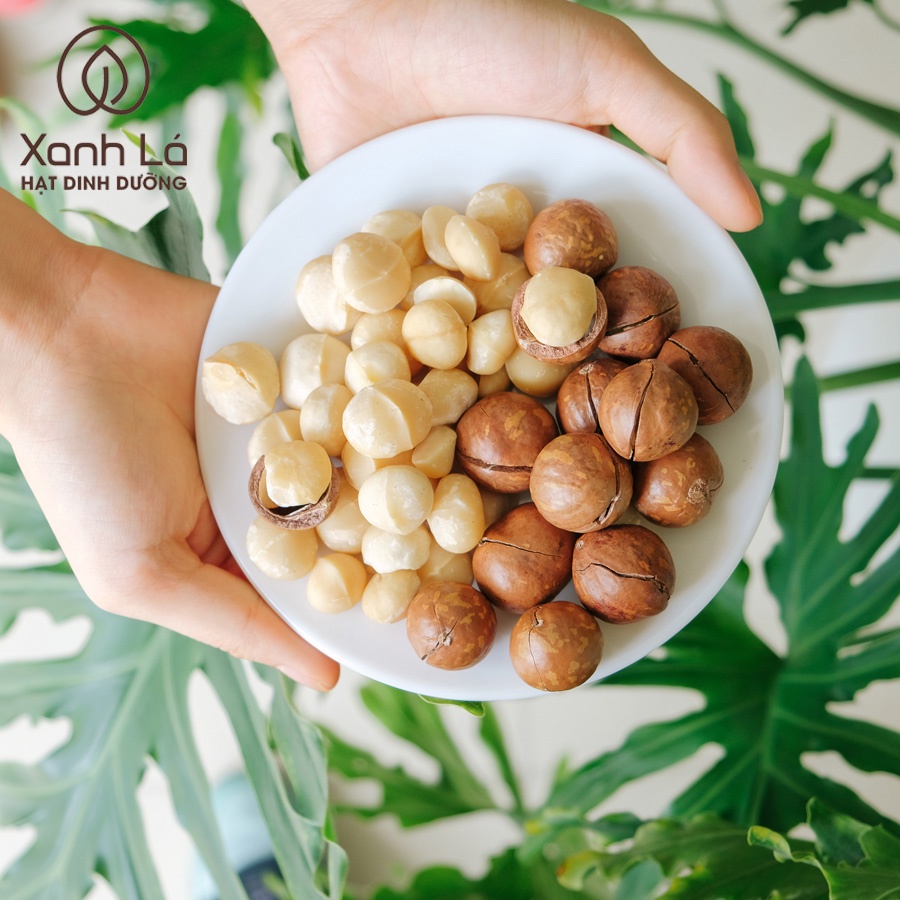 Hạt Macca SẠCH Đăk Lăk sấy nứt vỏ LOẠI 1 VỤ MỚI hàng công ty đạt VSATTP Xanh Lá