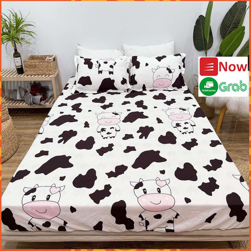BỘ GA GỐI POLY M6/M8 MẪU Họa mi vàng, Bộ Drap nhiều mẫu (Chát chọn mẫu nha !)