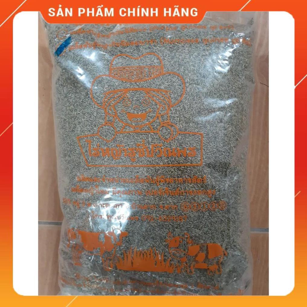 Hạt giống cỏ Mombasa ghine - cỏ sả lá lớn nhập nguyên túi của Thái Lan ( gói 500g)