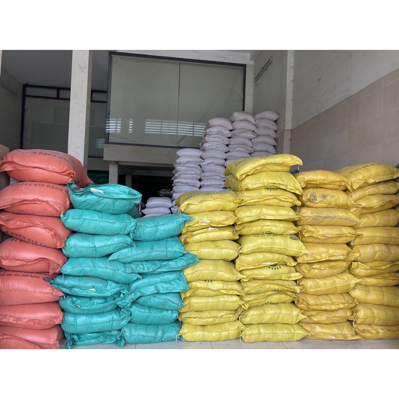 Men Nấu Rượu Bông Lúa Vàng