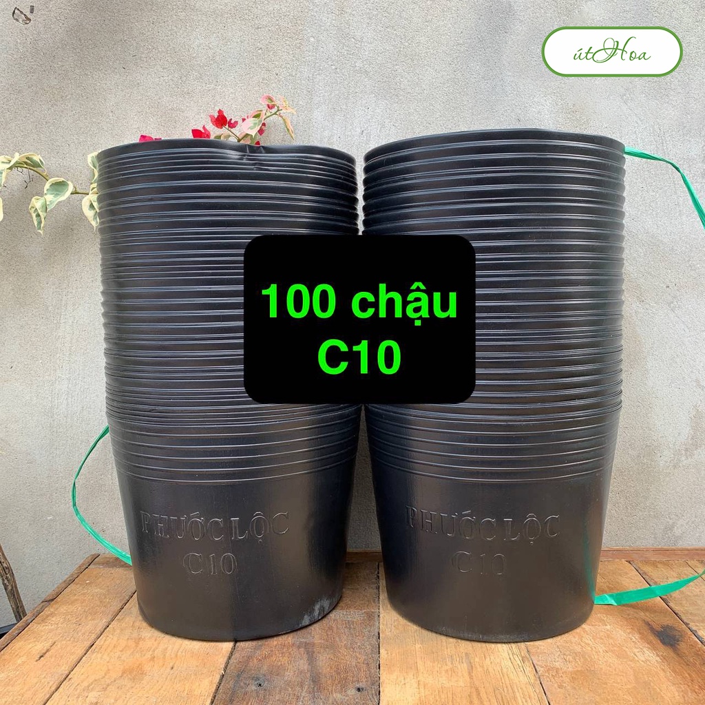 Combo 100 chậu nhựa đen C10 (25x20 cm) trồng cây hiệu Phước Lộc