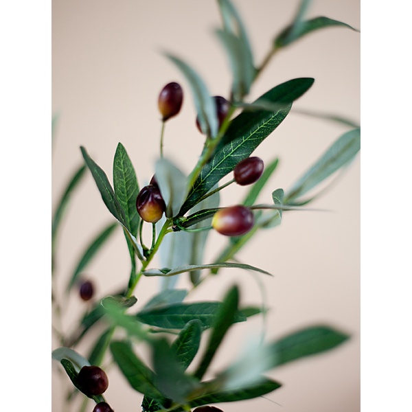 CÀNH OLIVE, cành OLiu ; Hoa trang trí Anthinh Decor