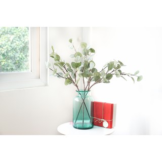 Lá điểm 🌿| Lá bạc xanh, đẹp tự nhiên