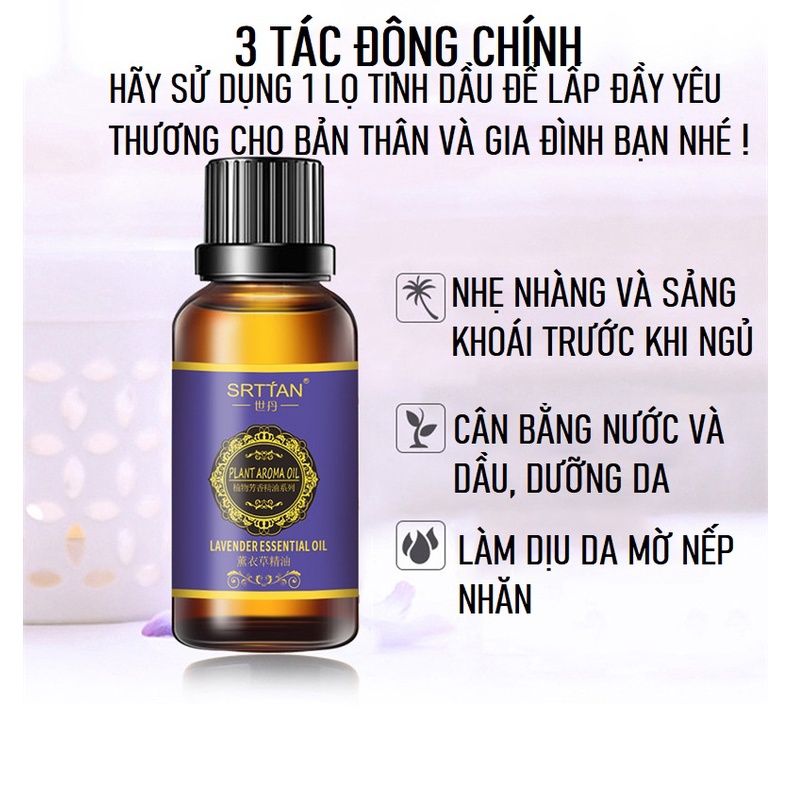 Tinh dầu oải hương, tinh dầu oải hương thơm phòng, tinh dầu oải hương giúp dễ ngủ
