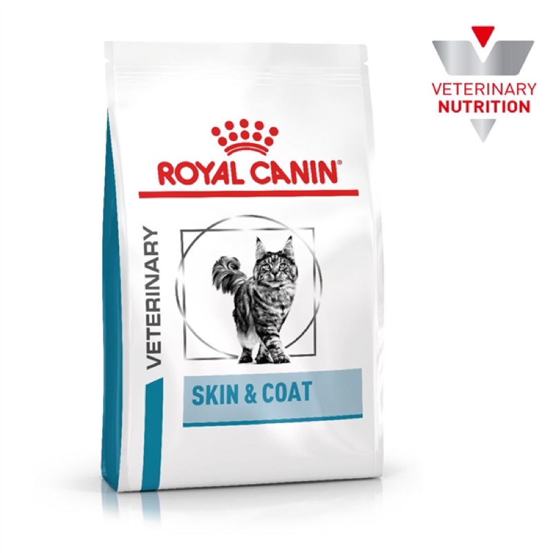 Thức ăn cho mèo Royal Canin Skin &amp; Coat - Thức ăn hạt hỗ trợ cho mèo viêm da, rụng lông