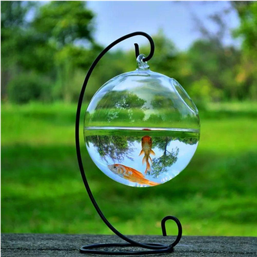 Bình Kính Thủy Tinh Mini Treo Tường Trang Trí Bể Cá