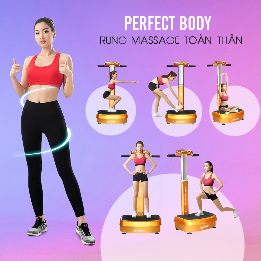 Máy rung KINGSPORT PERFECT BODY - Giảm mỡ toàn thân tại nhà, động cơ khoẻ, tải trọng lớn