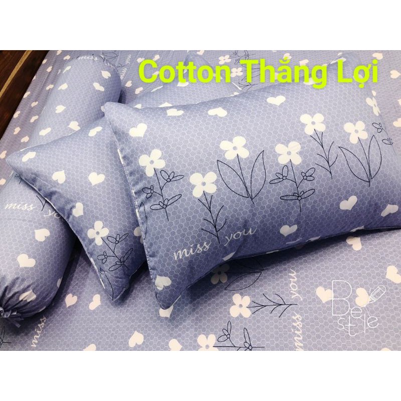 Vỏ gối cotton Thắng Lợi 40*60 và 50*70