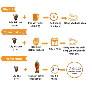10 hộp Đông trùng hạ thảo C3