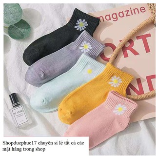 Combo 10 đôi tất Hoa cúc rất xinh