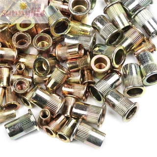 Bộ 100 Đinh Tán Sắt Galvanized M3-M12