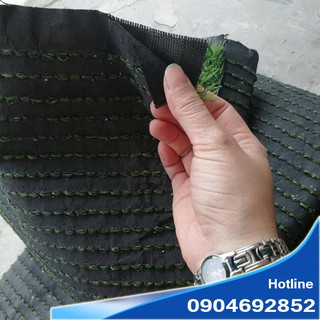 Combo 8 m2 thảm cỏ nhân tạo 2cm
