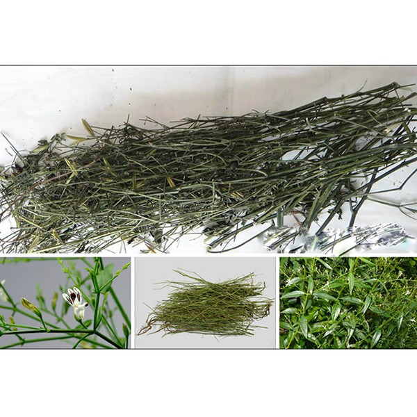 Xuyên Tâm Liên khô 1kg hàng loại 1 GT062
