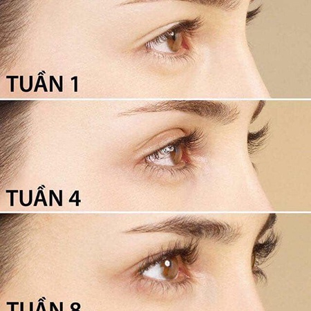 Serum dưỡng dài và cong 8 IN 1 Eveline