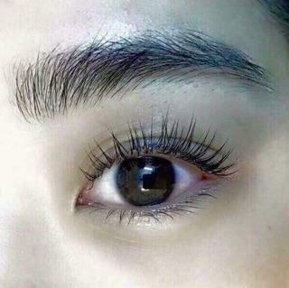 LĂN MỌC MI GENIVE