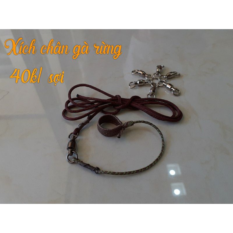Xích chân gà rừng