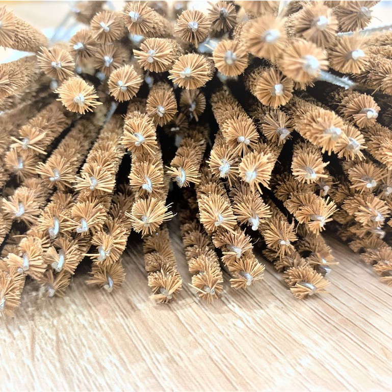 Cọ xơ dừa - rửa ống hút tre - sản phẩm thân thiện môi trường