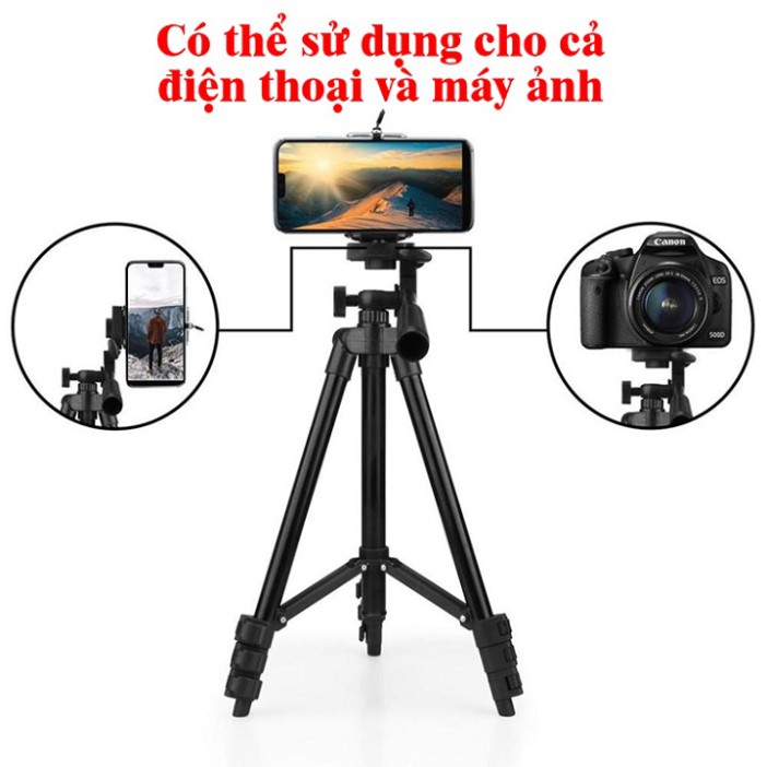 Giá đỡ điện thoại máy ảnh 3 chân, Tripod 3120 Tặng kẹp điện thoại, Giá đỡ chụp hình, quay phim Educase86