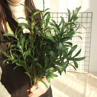 Hoa lụa-cành oliu-cành olive giả