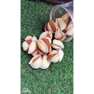 Bánh mứt sò Thái Lan