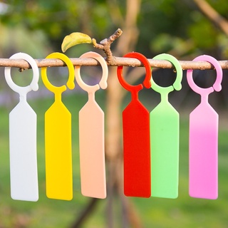 100 thẻ ghi tên lan có móc tiện lợi bền đẹp có 2 màu xanh và trắng