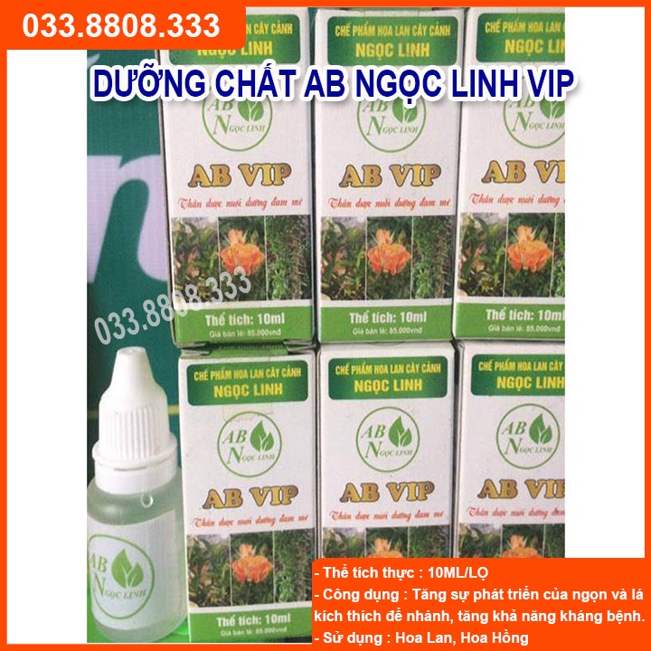 AB VIP Ngọc Linh Chuyên Dùng Cho Hoa Lan Cây Cảnh Thúc Đẩy Sự Phát Triển Tế Bào, Chai 10ml