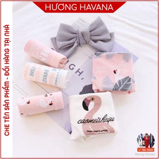 Quần lót nữ cotton HAVANA họa tiết chủ đề hồ thiên nga - freesize - quần chip nữ dễ thương nhất FLQ45