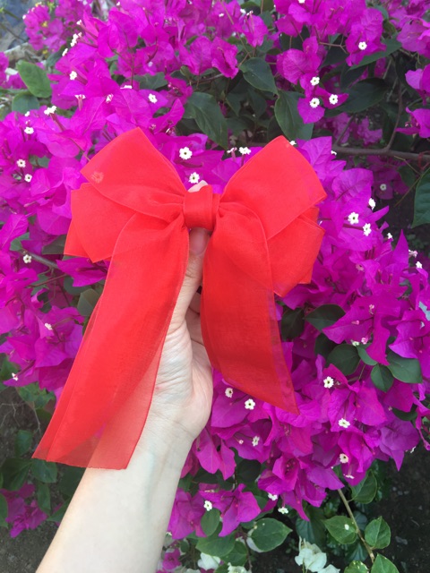 Kẹp  nơ voan phối