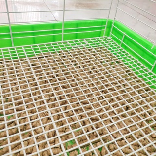 Chuồng Thỏ Lồng Thỏ Size Đại 60*41*37 cm