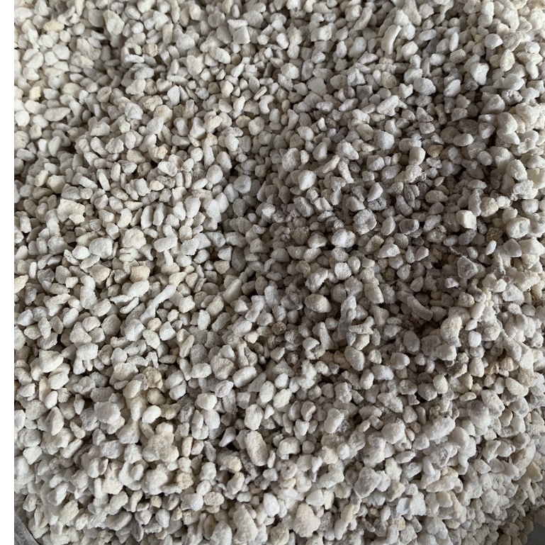 Đất ấp bò sát Trắng 500g