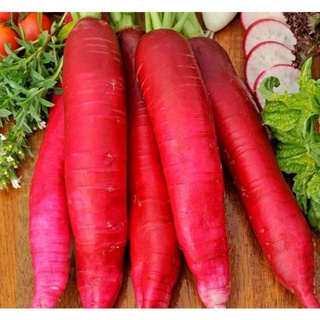 Hạt Giống Cà Rốt Đỏ, đóng gói 5gr