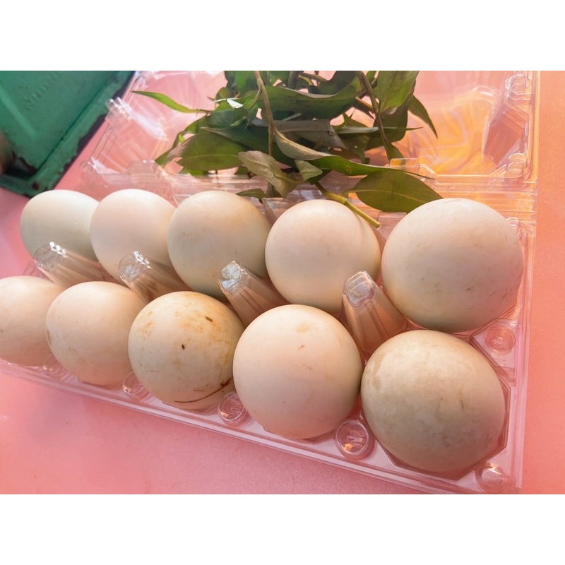 Hột vịt lộn úp mề giao nhanh tphcm chưa luộc ko kèm rau ớt ạ